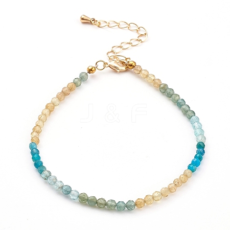 Natural Apatite Beaded Bracelets BJEW-JB05936-1