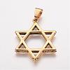 304 Stainless Steel Pendants STAS-P137-16G-1