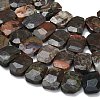 Natural Wealth Stone Beads Strands G-C285-A09-01-3