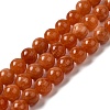 Natural Dyed Jade Beads Strands G-M402-C03-08-1