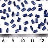 FGB 2-Hole Glass Seed Beads SEED-S031-M-SH128-2