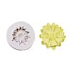 Food Grade Silicone Molds LS-DIY-E018-39-1