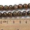 Tibetan Style dZi Beads Strands G-P526-D02-01-5