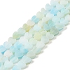 Handmade Lampwork Beads Strands LAMP-Q035-01D-1