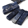 Natural Sodalite Beads Strands G-S386-D19-4