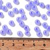 Imitation Jade Glass Seed Beads SEED-Z001-A-A04-4