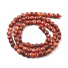 Natural Red Agate(Dyed & Heated) Beads Strands G-C179-A26-01-3