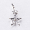 Brass Micro Pave Cubic Zirconia Charms LS-ZIRC-E135-30P-2