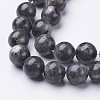 Natural Larvikite Beads Strands GSR10mmC128-2