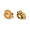 Ion Plating(IP) 304 Stainless Steel Friction Ear Nuts STAS-E192-14G-2
