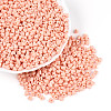 Baking Paint Glass Seed Beads SEED-N007-30G-1