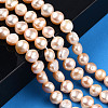 Natural Cultured Freshwater Pearl Beads Strands PSB003Y-2-2