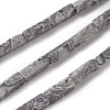 Natural Map Stone/Picasso Stone/Picasso Jasper Beads Strands G-G837-05-1