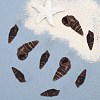 Spiral Shell Beads SSHEL-SC0001-07-4