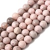 Natural Pink Zebra Jasper Beads Strands G-P231-01-10mm-2