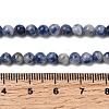 Natural Blue Spot Jasper Beads X-GSR4mmC036-3