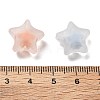 Frosted Transparent Acrylic Beads OACR-A032-13B-3