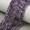 Natural Amethyst Beads Strands G-A252-A03-01A-1