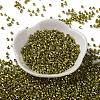 Baking Paint Glass Seed Beads X-SEED-S042-15A-16-2