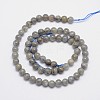 Natural Labradorite Round Bead Strands G-I156-01-6mm-2