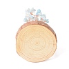 Natural Aquamarine Chips with Brass Wrapped Wire Money Tree on Wood Base Display Decorations DJEW-B007-05C-3