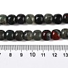 Natural African Bloodstone Beads Strands G-T138-150-5