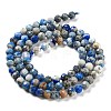 Natural Lapis Lazuli Beads Strands G-J400-D03-01A-5