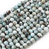 Natural Larimar Beads Strands GG-CBA19D6-A01-6mm-2