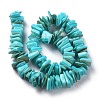 Natural Freshwater Shell Beads Strands SHEL-C001-10C-2