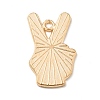 Pride Alloy Enamel Pendants LS-ENAM-G208-17KCG-2
