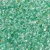 6/0 Spray Paint Glass Seed Beads SEED-H003-11L-2