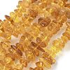 Natural Amber Beads Strands G-L095-D01-02-2