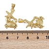 Brass Pendants X-KK-I358-057G-01-3