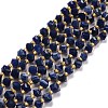 Natural Sodalite Beads Strands G-P463-03-1