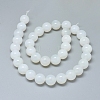 Natural White Agate Beads Strands G-D0005-27-12mm-2