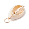 Natural Cowrie Shell Pendants PALLOY-JF02662-03-4