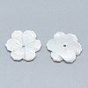Natural White Shell Beads SSHEL-S260-062C-2