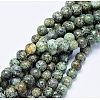 Natural African Turquoise(Jasper) Beads Strands X-G-D840-90-10mm-4
