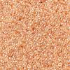 MIYUKI Round Rocailles Beads X-SEED-G009-RR0369-2