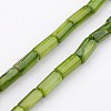 Natural Shell Bead Strands X-BSHE-P016-16-1