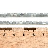 Natural Trochid Shell/Trochus Shell Bead Strands SSHEL-N034-77-C01-5