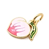Brass Enamel Charms KK-A268-30G-02-2