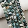 Natural Tree Agate Beads Strands X-G-I199-03-10mm-8