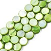 Freshwater Shell Beads Strands X-SHEL-T009-B16-04-1