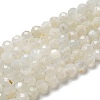 Natural Moonstone Beads Strands G-F736-01-AB-1