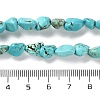 Dyed Natural Turquoise Beads Strands G-P497-01C-17-5