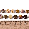 Natural Mookaite Beads Strands G-B153-A19-5