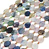 Natural Banded Agate Beads Strands G-A321-E03-01A-2
