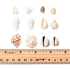 DIY Conch Shell Starfish Turtles Beads Findings Kits DIY-FS0010-25-5