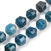 Natural Apatite Beads Strands G-O201B-146H-2